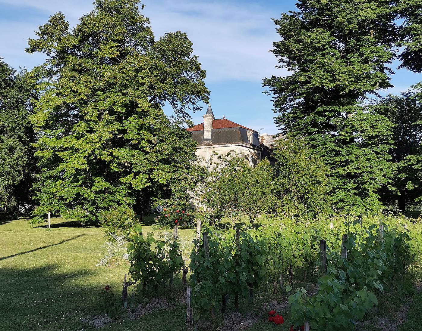 Château Tasta