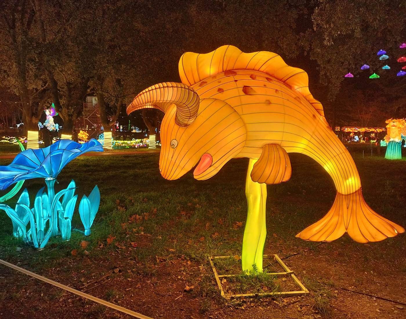 Les Splendeurs de Chine à Céret