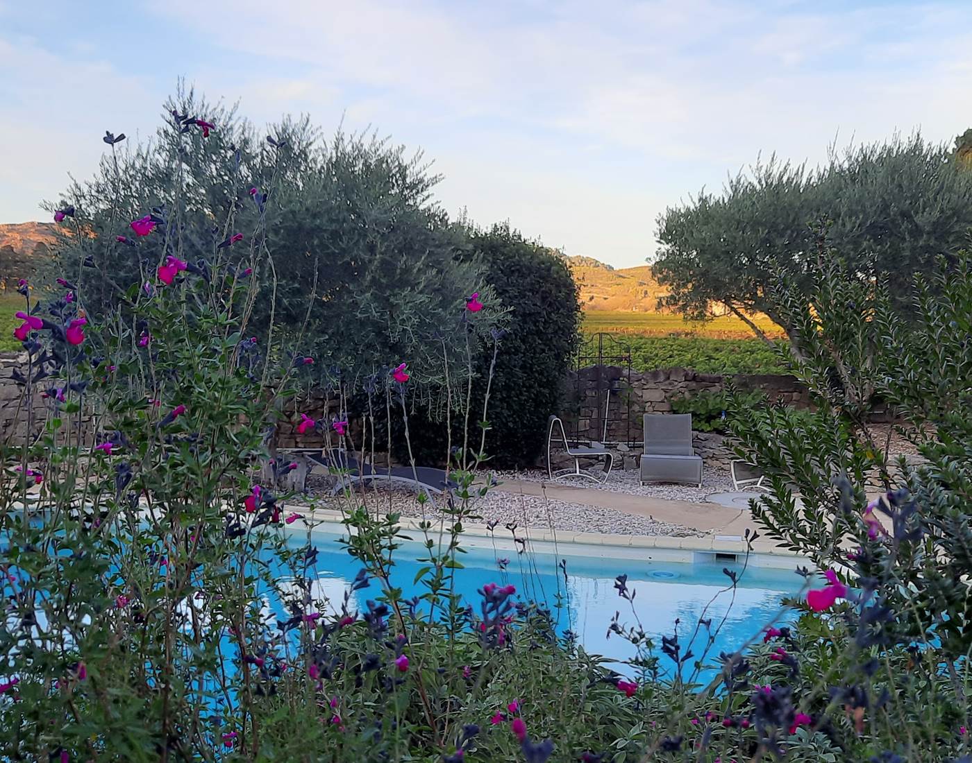 Notre piscine avec sa vue sur les vignes