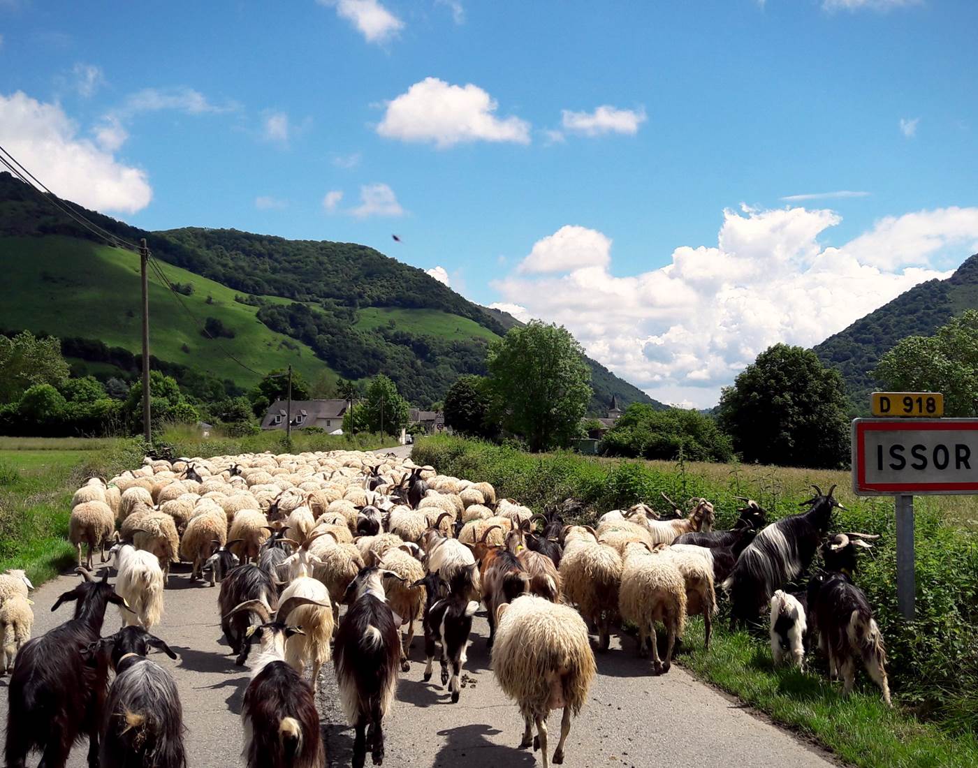 Haut-Béarn-berceau-de-l'Ossau-Iraty