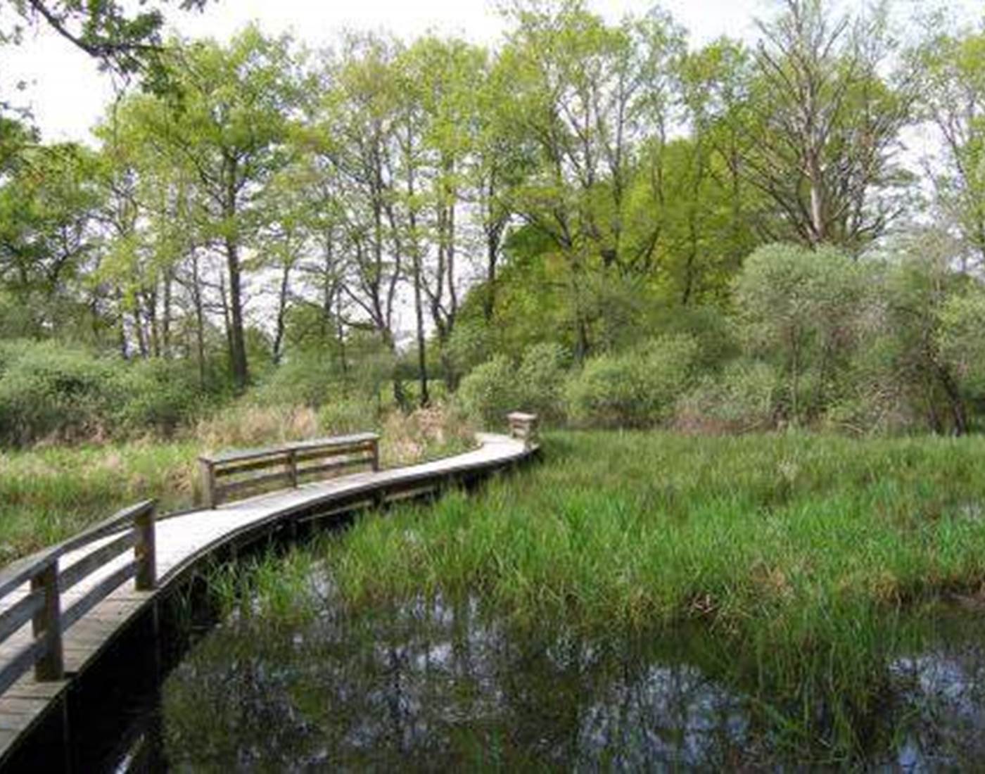 Réserve Naturelle Nationale de l'Etang des Landes-page