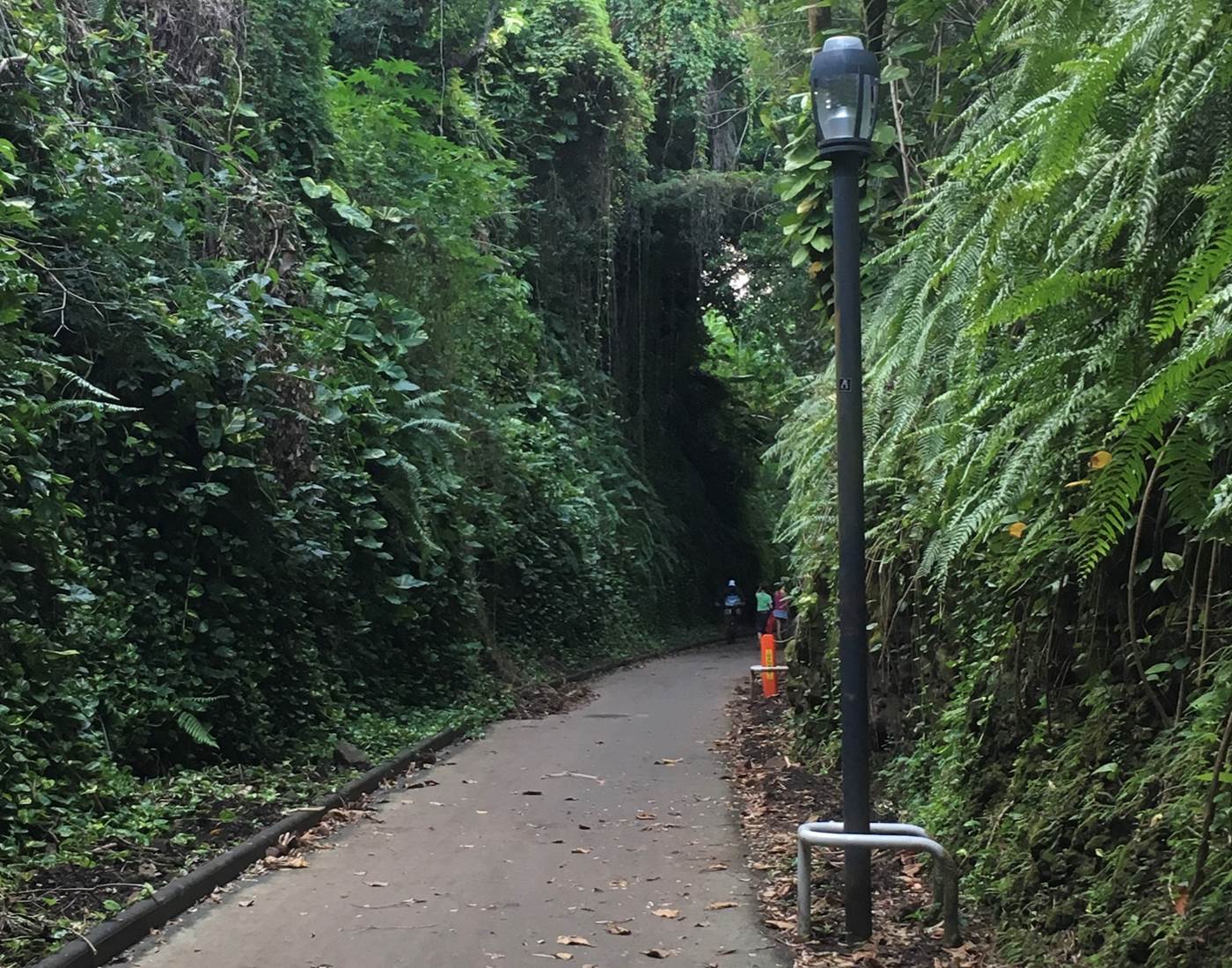 sentier littoral nord