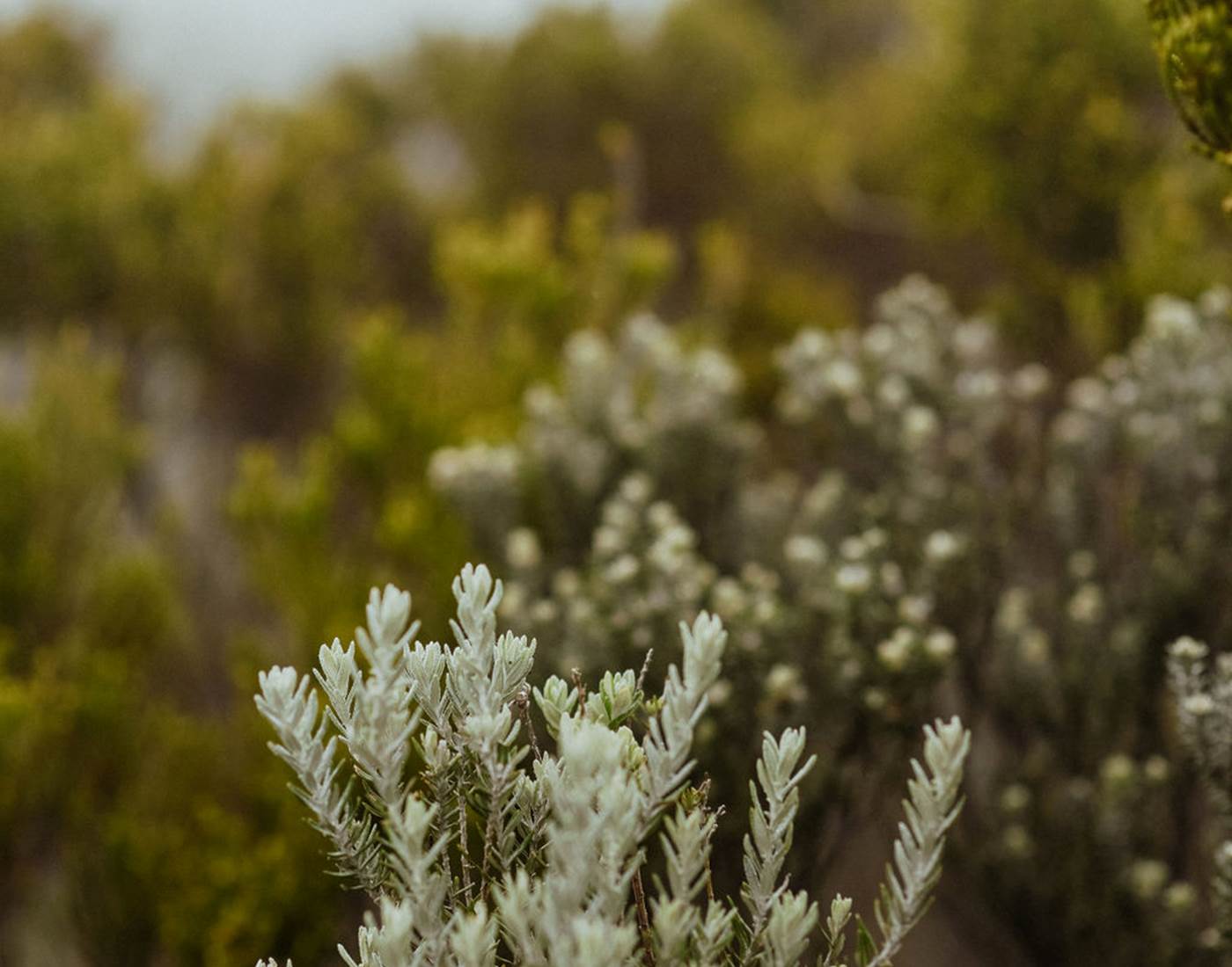 Tant d'harmonie qui vous attend