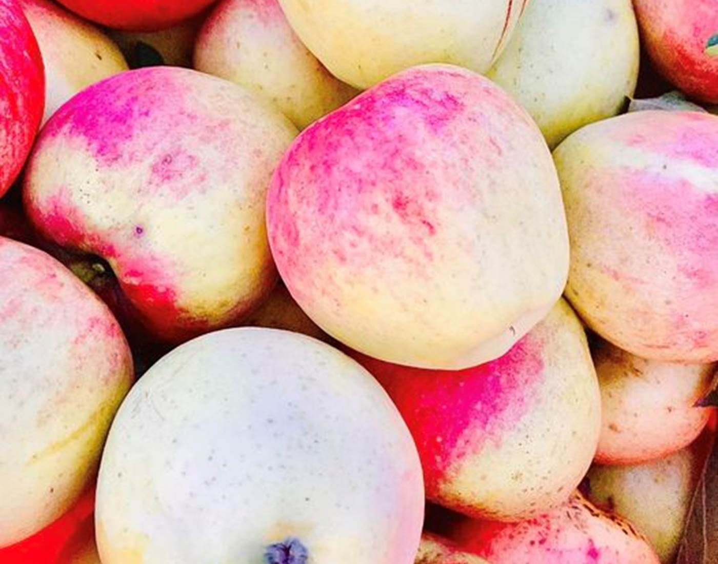 308996018_470093161800826_3555154178023397557_n