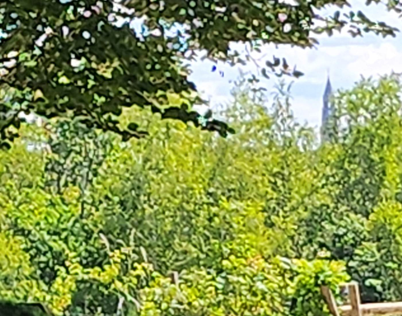 LA COLLEGIALE DE SAINT LEONARD DE NOBLAT