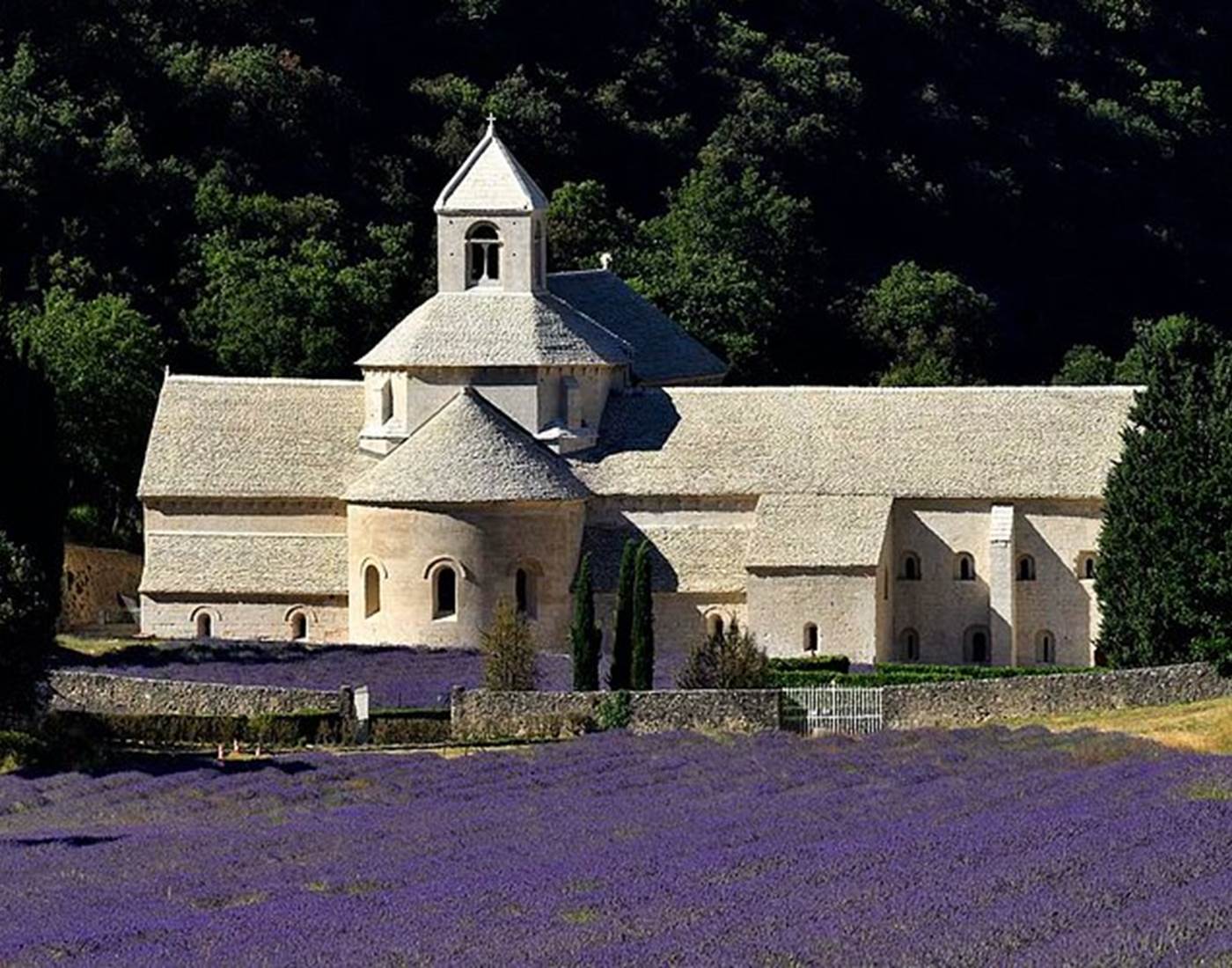abbaye de senanque