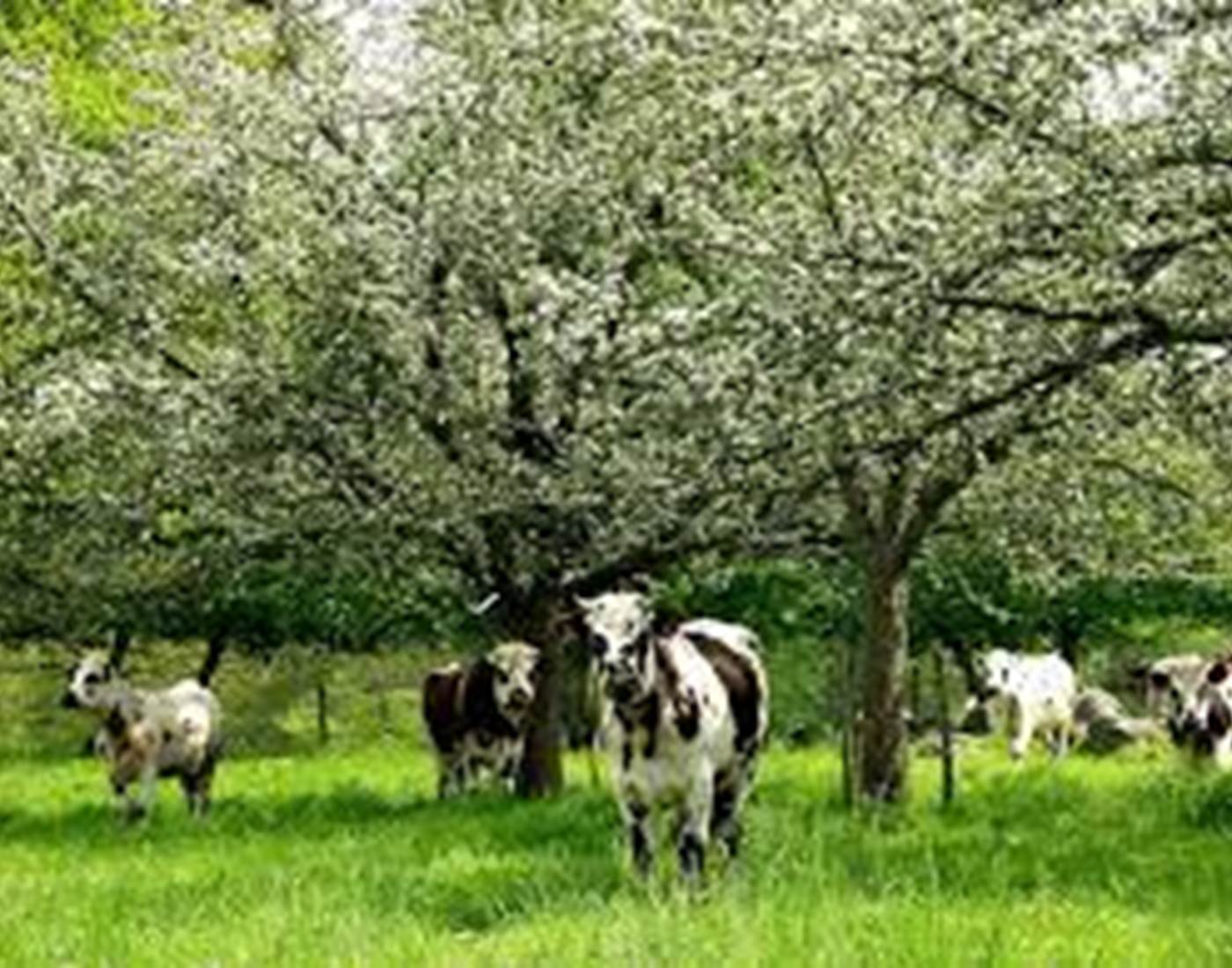 téléchargement (1)