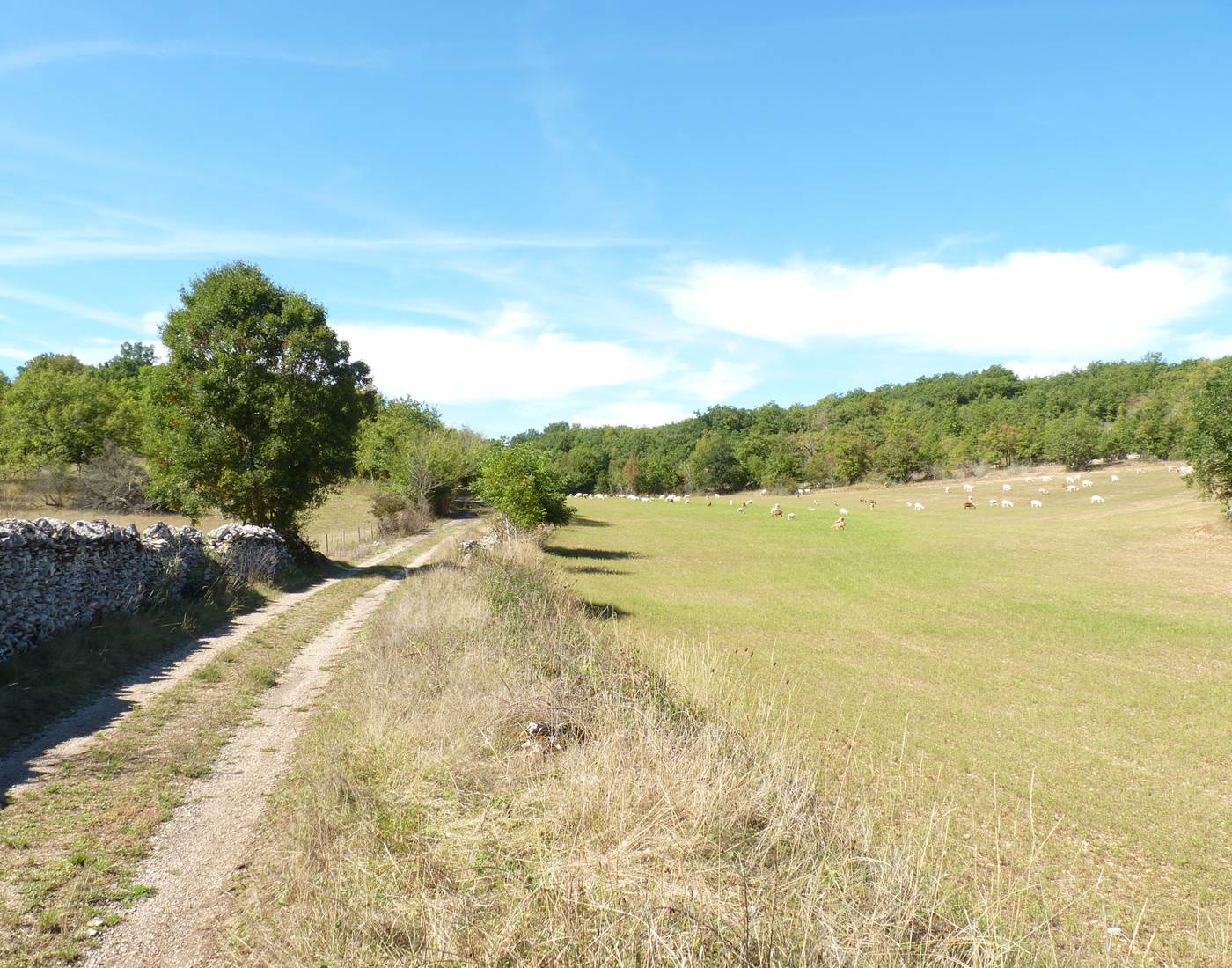 Sur le chemin...-news