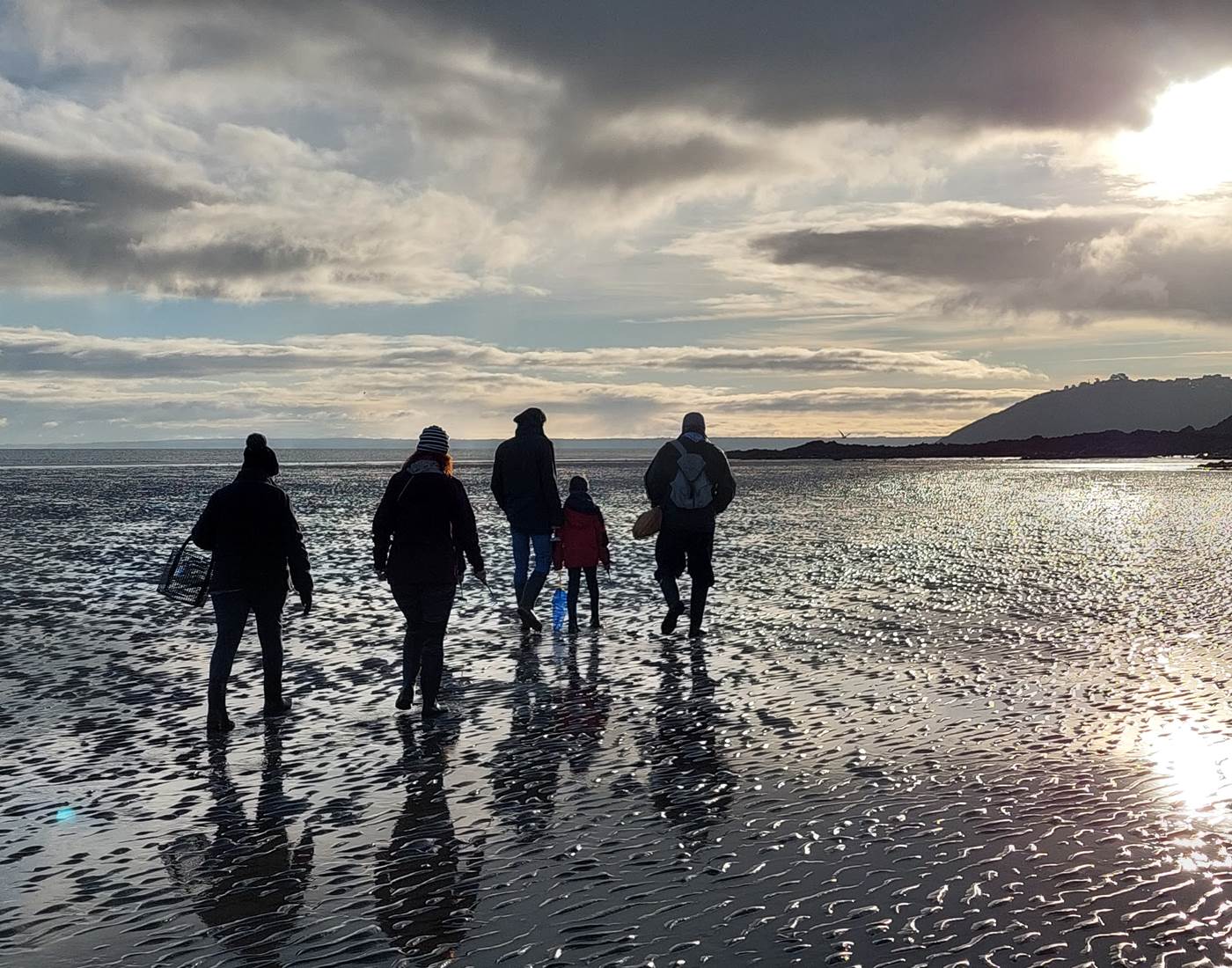 Coques en stock baie de St Brieuc Monsieur Jean