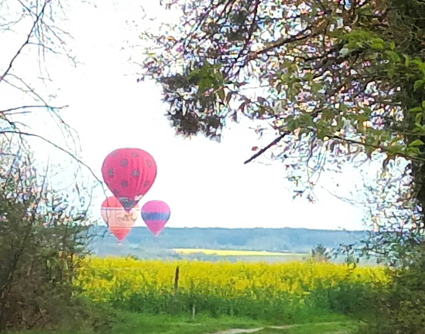 Montgolfières à Chenonceaux