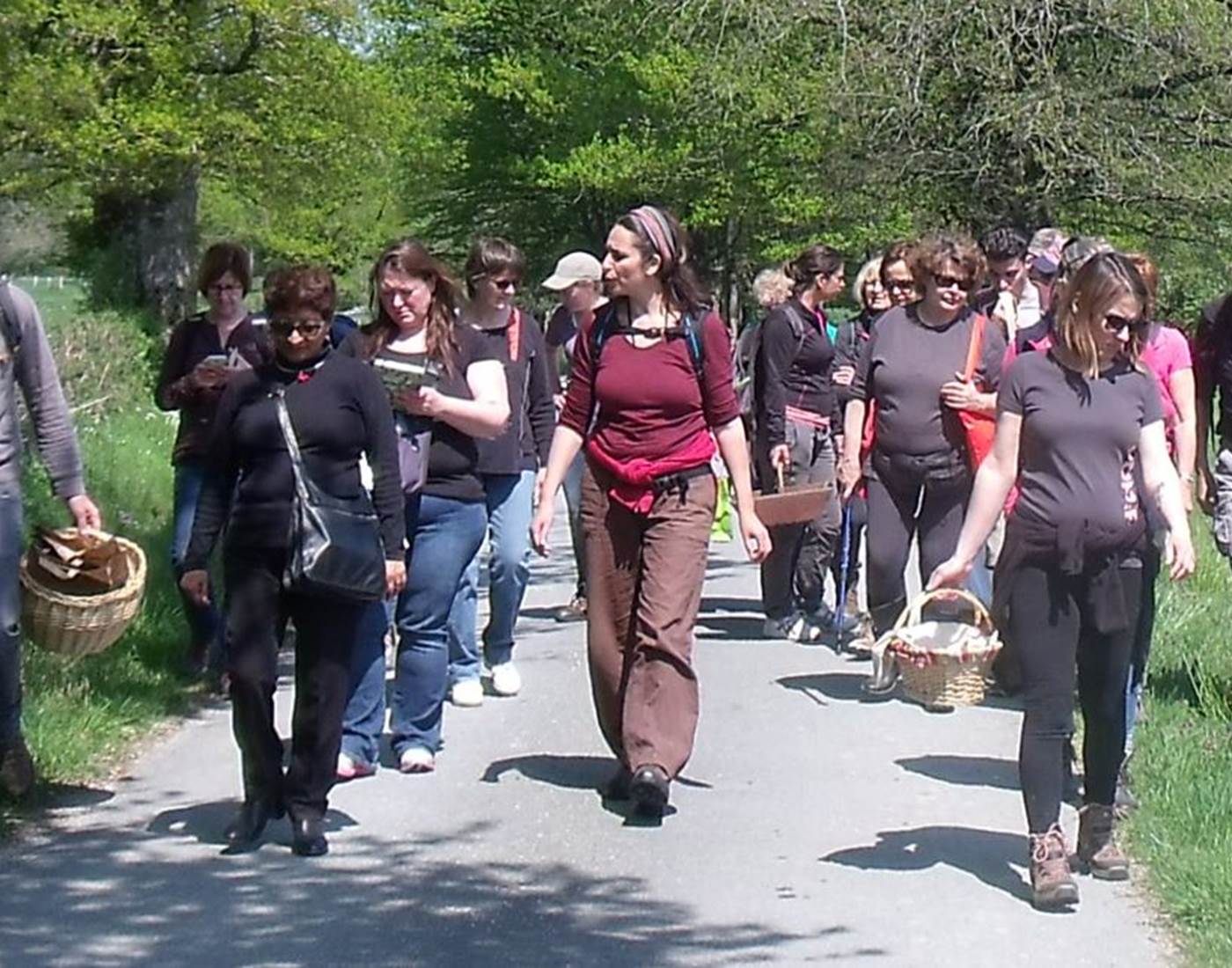 Sortie plantes sauvages comestibles  Asso Kloreaufil