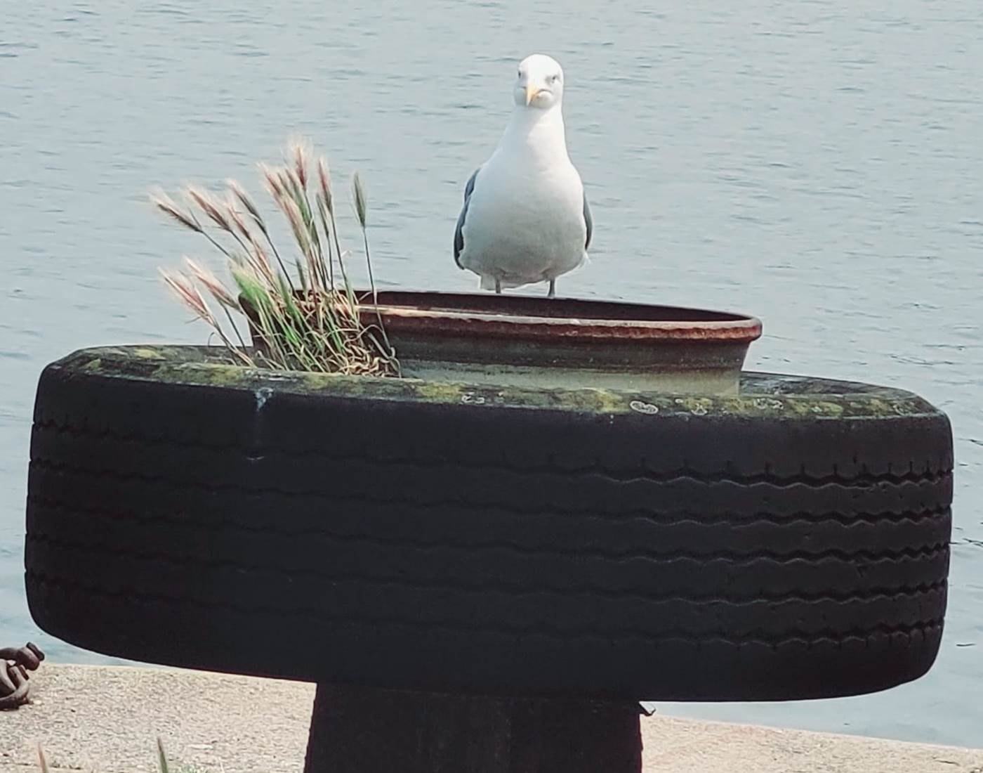 chambre-hotes-bretagne-cap-frehel-dinan