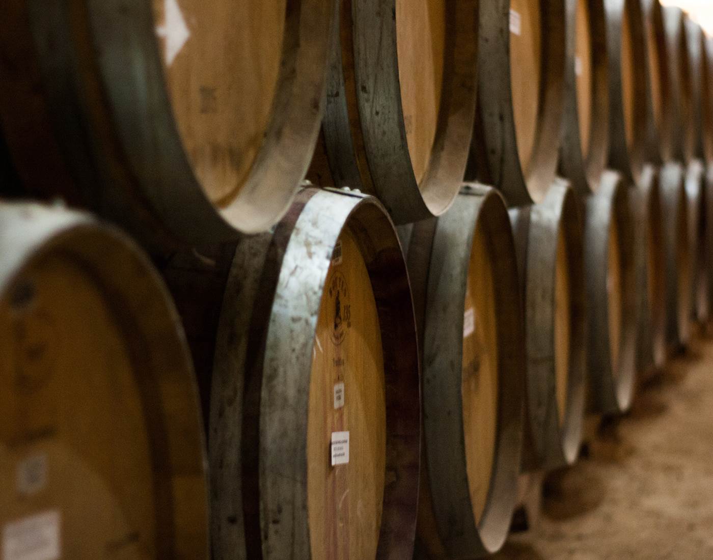 La route des Vins - Bourgogne