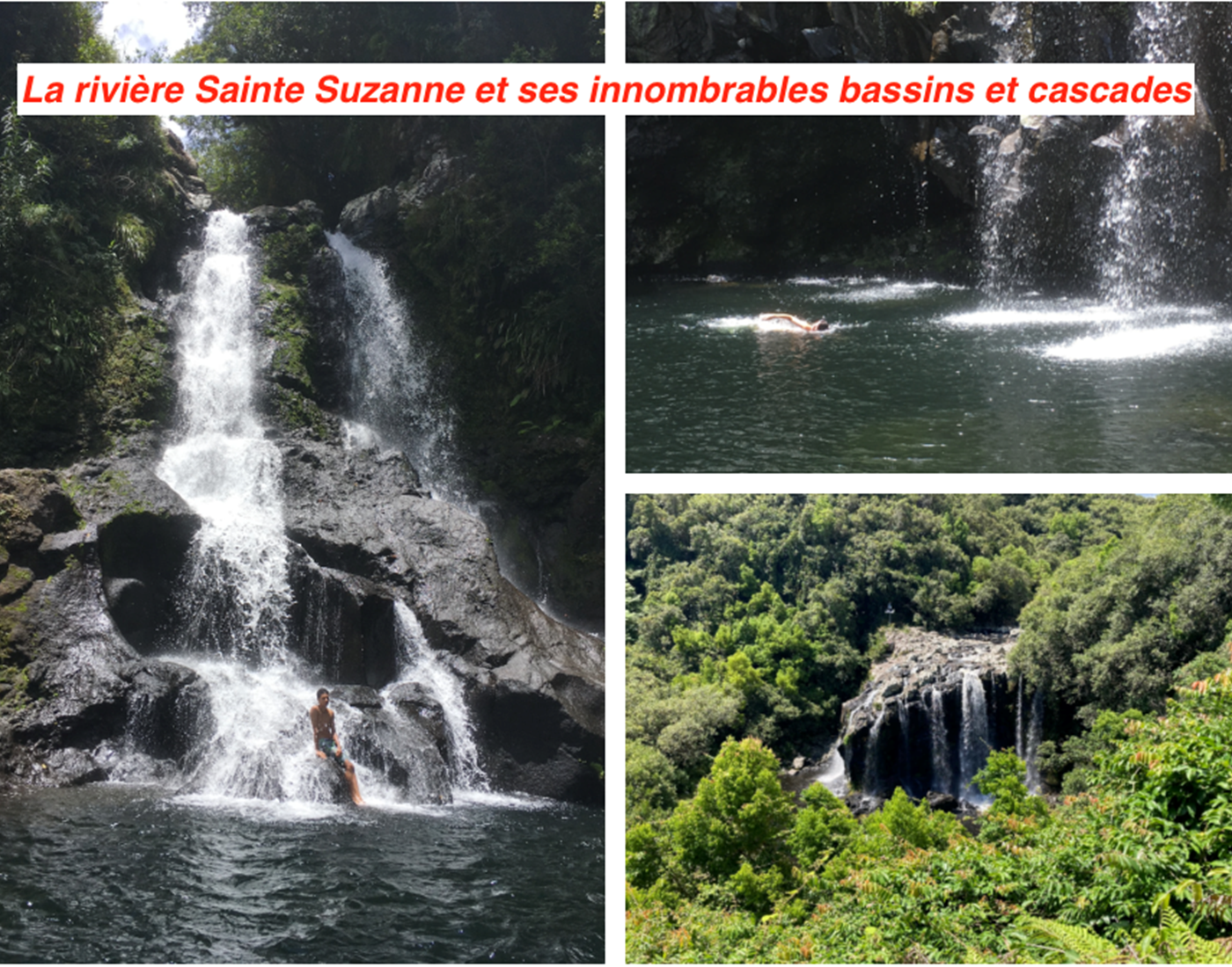 pilon carosse nicole