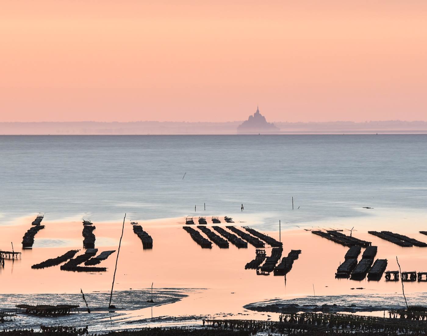 Les parcs à huitres et le Mont saint Michel