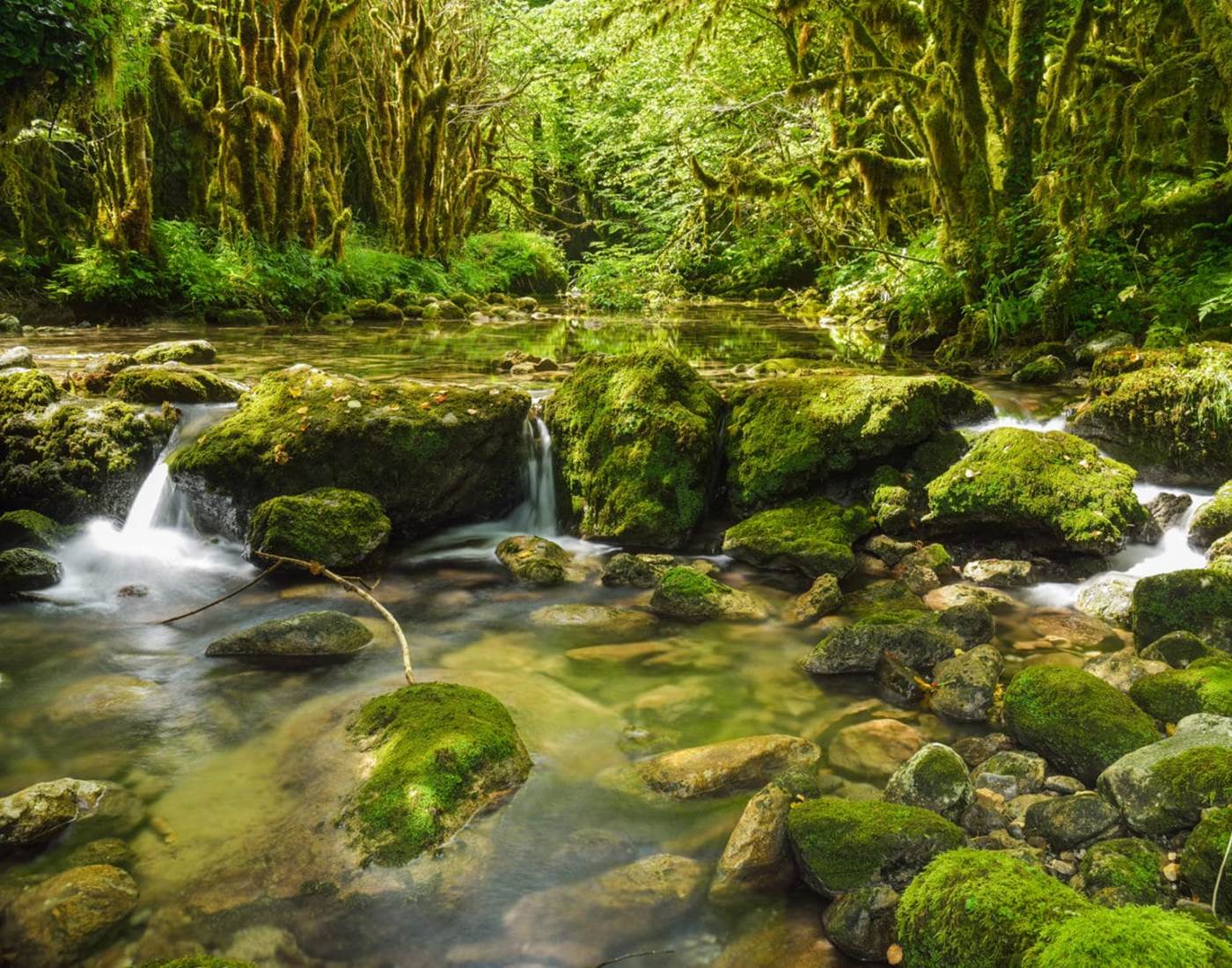 La Gourgue d'Asque-page