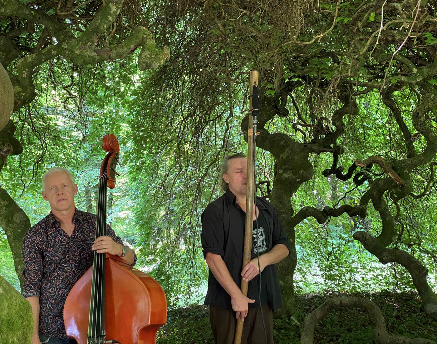 Jan Vanek en concert à la Manufacture Royale de Bains