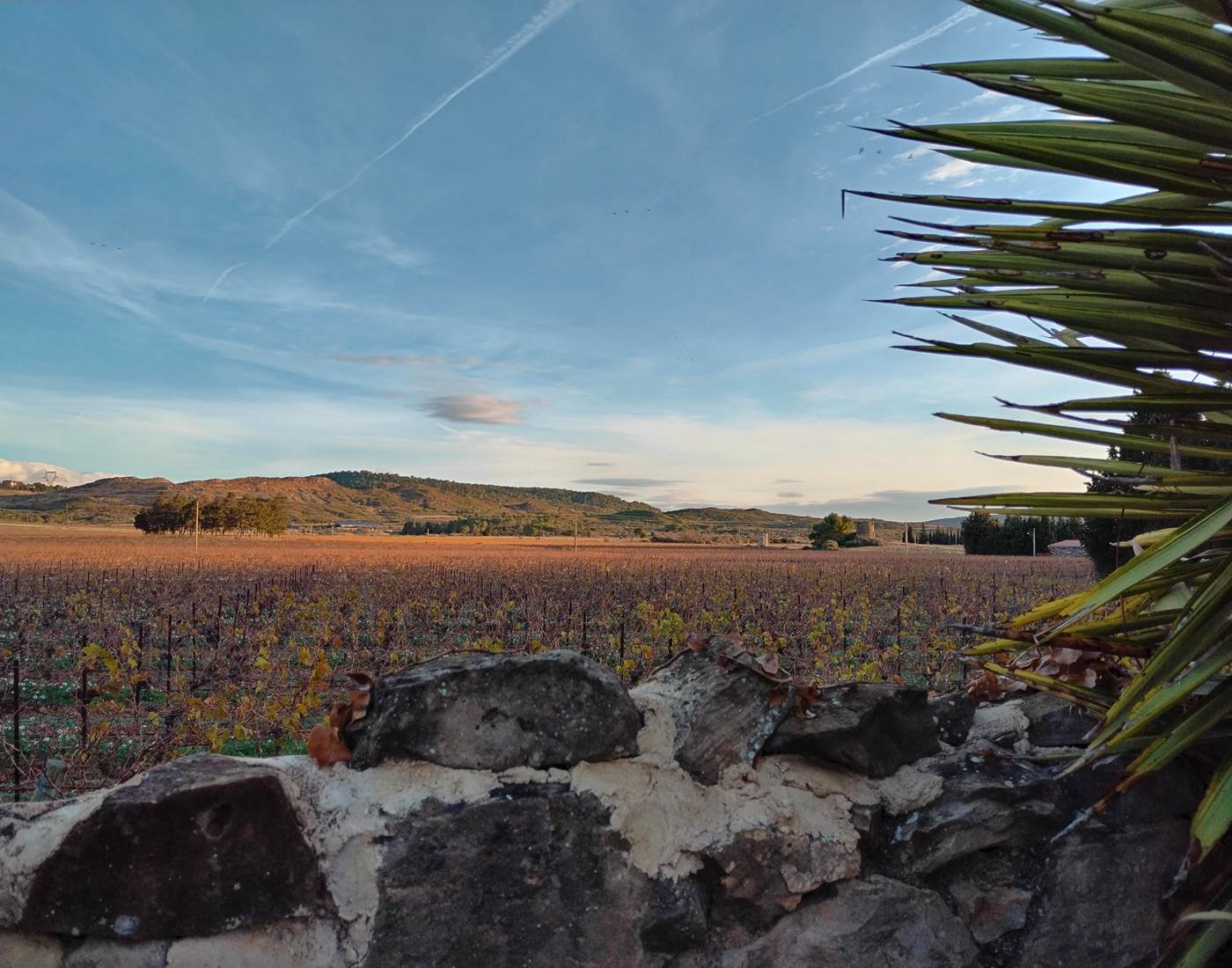 Admirer la nature à le Coq du Nord-Mailhac