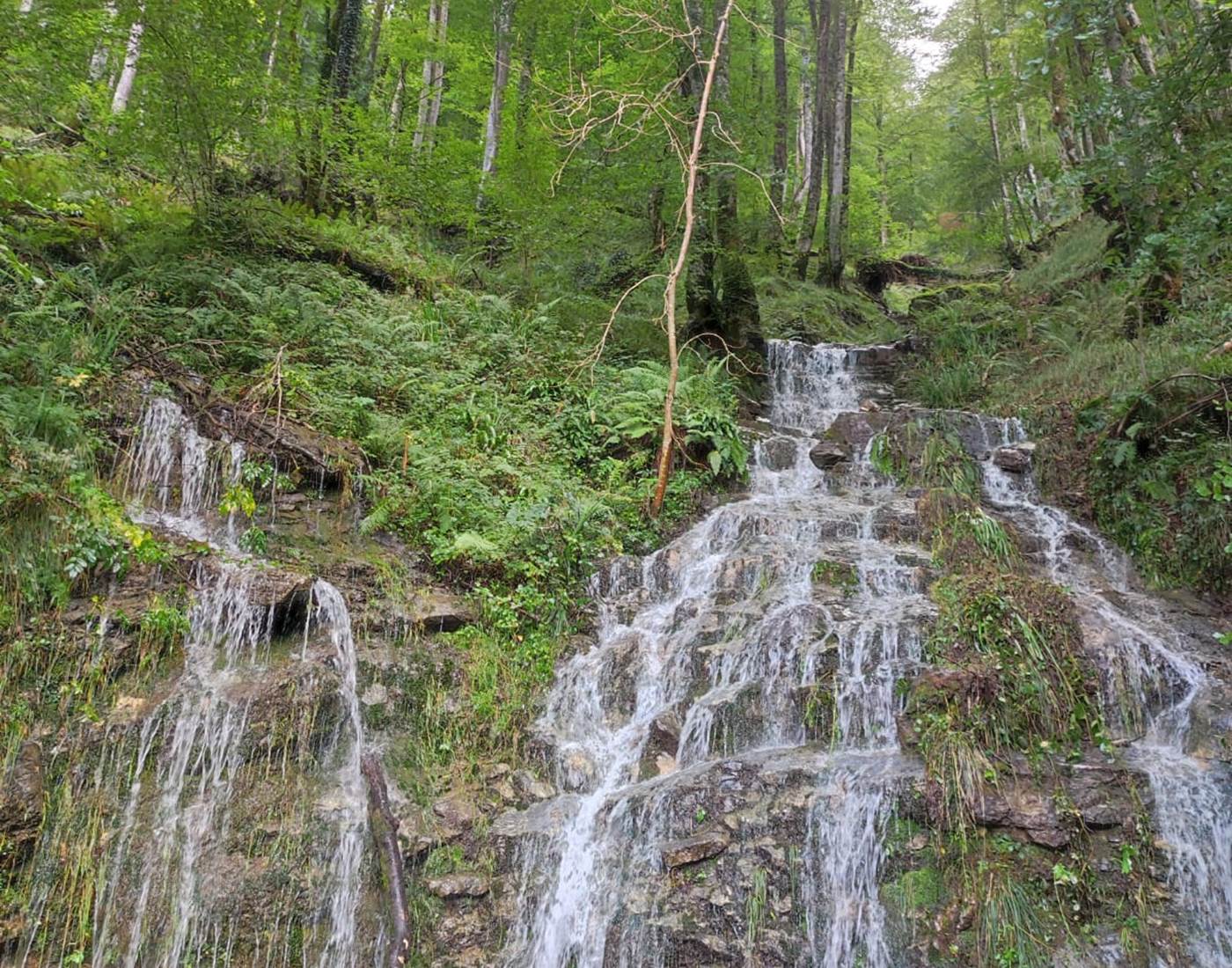 Gîte Ainerak, Pays Basque, Pyrénées, Soule, Kakouetta, La Verna, Sainte Engrâce, la Pierre St Martin