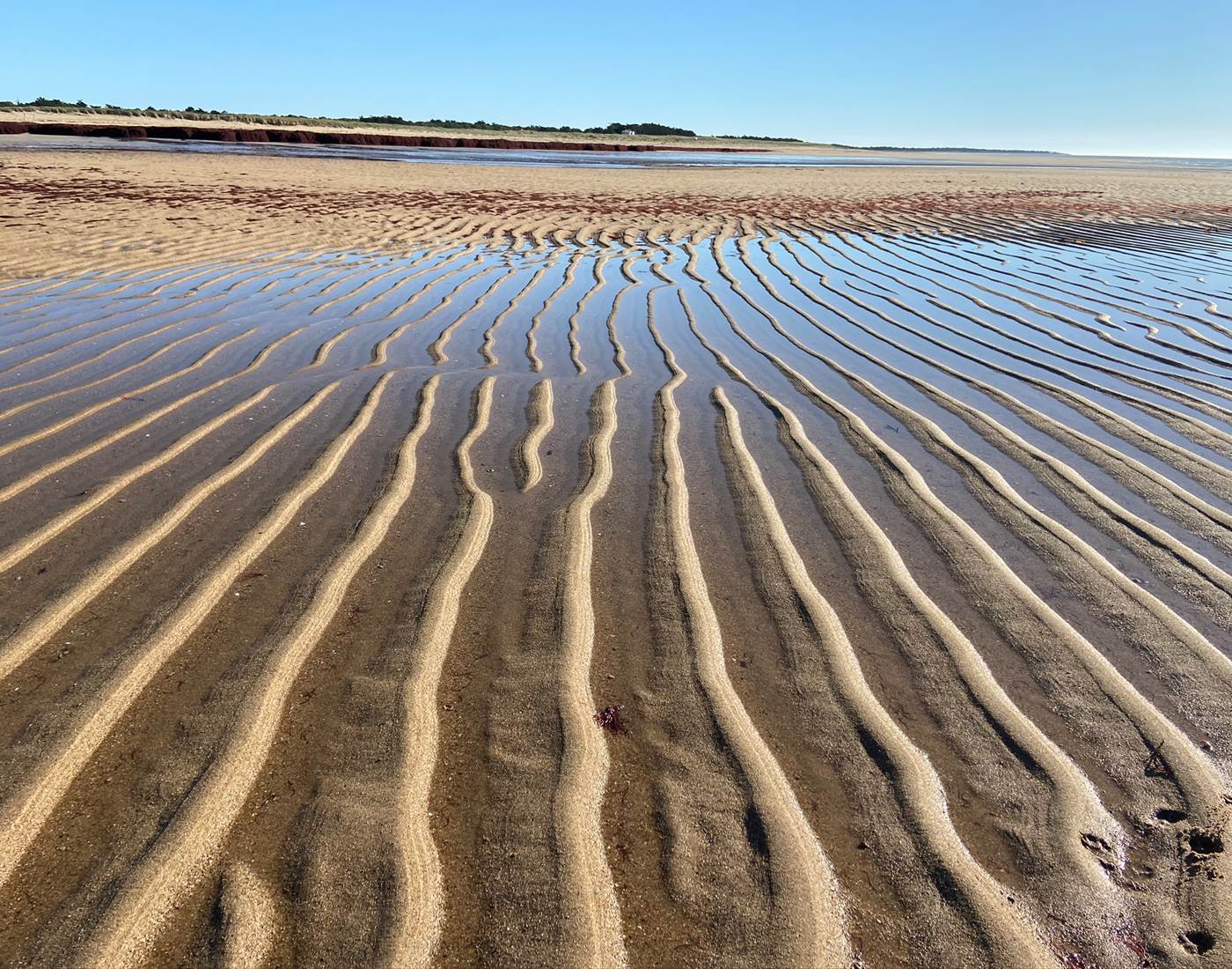 Plage de la Grande Côte