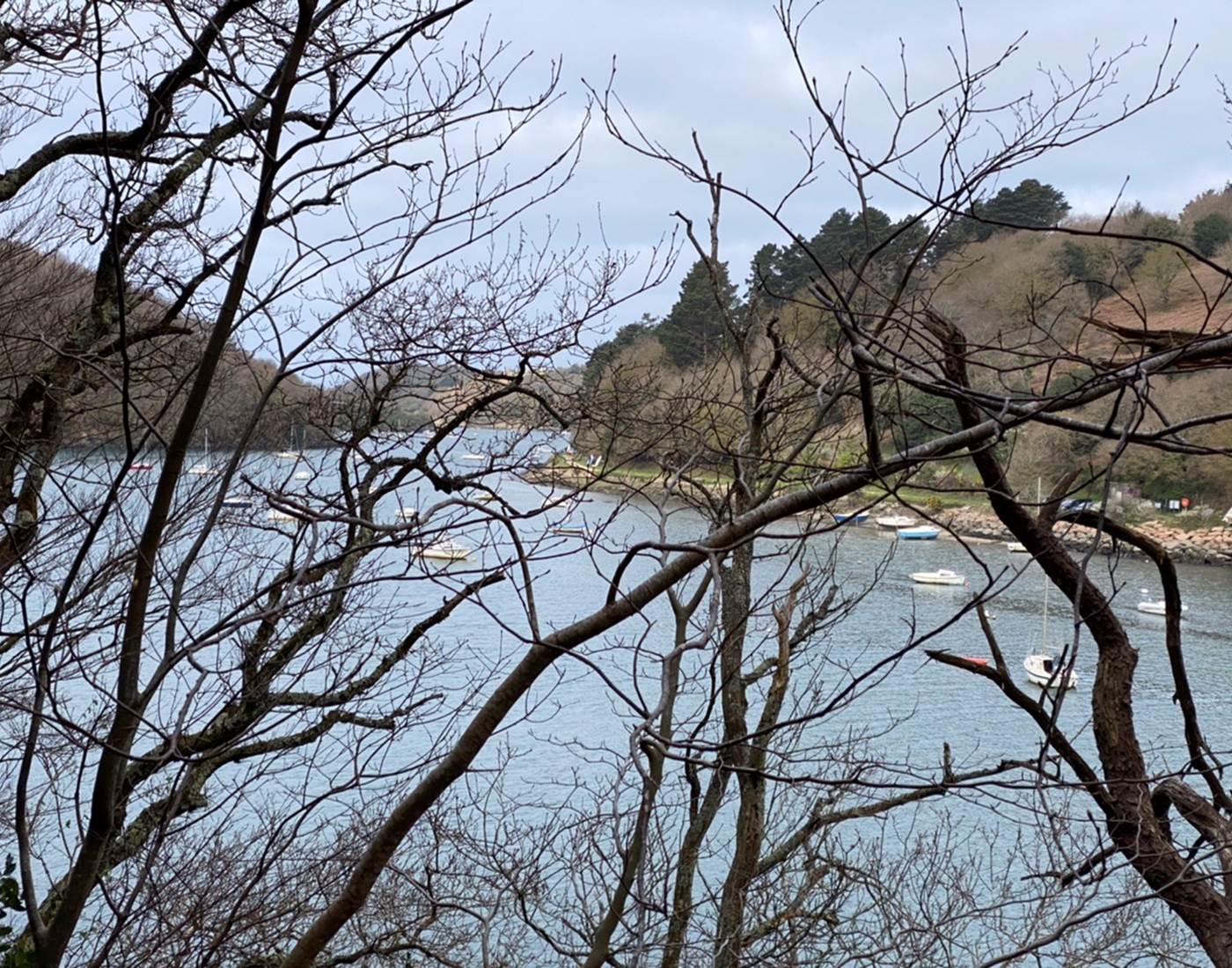 31B8EF19-C7E4-47DE-8424-F80D98863A2D