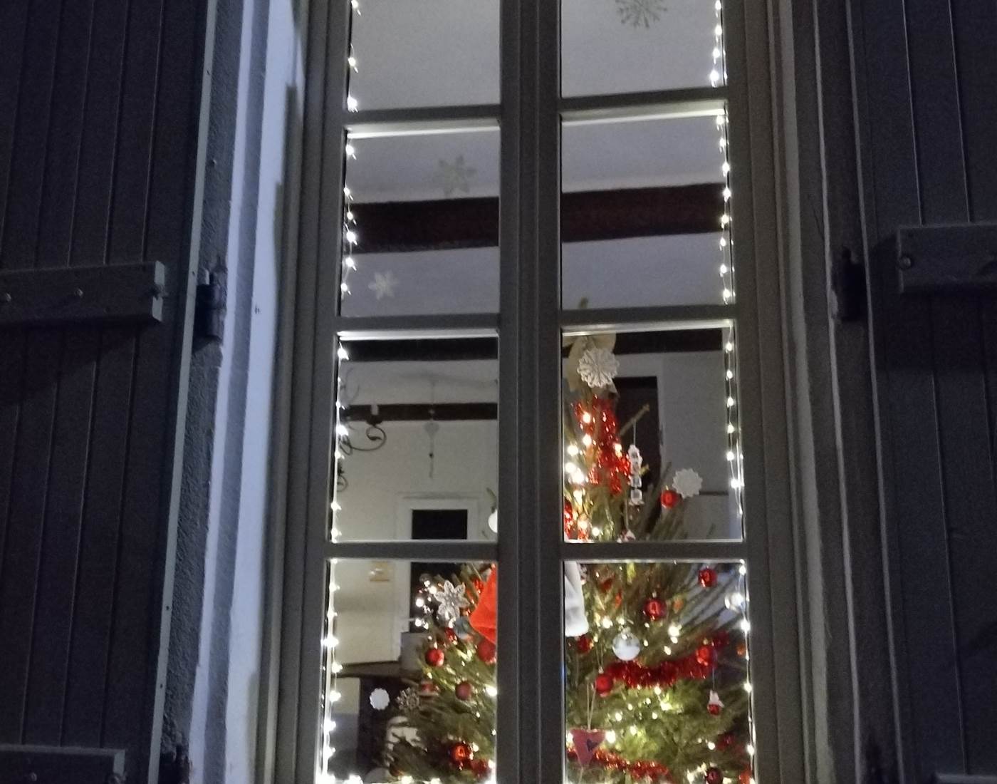 Magie de Noël à Le Coq du Nord-Mailhac 🌲🌲🌲