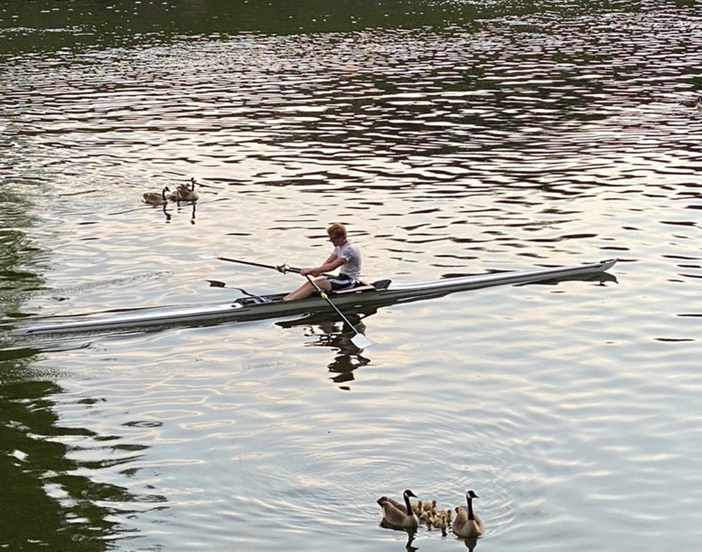 Aviron sur l'Ourthe-page