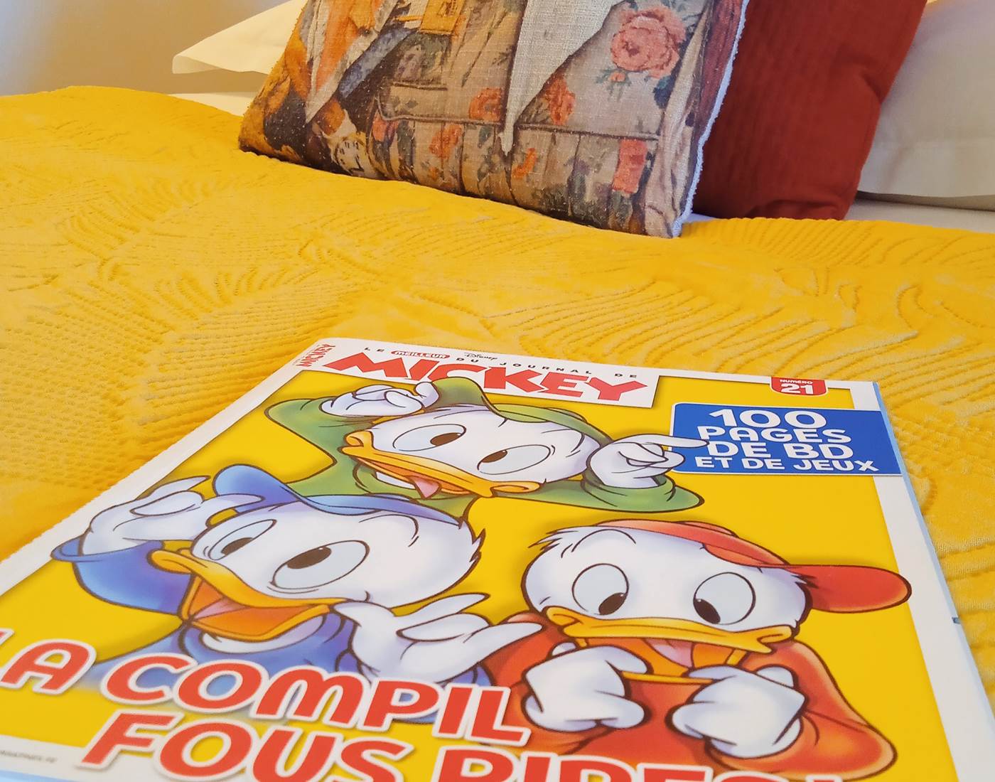 Dans la chambre - chambre d'hôtes l'Éphémère à Limoges