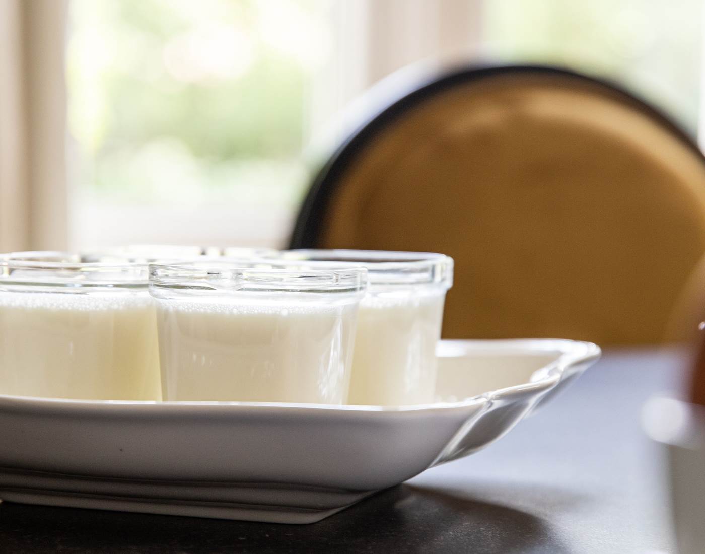 yaourts faits maison