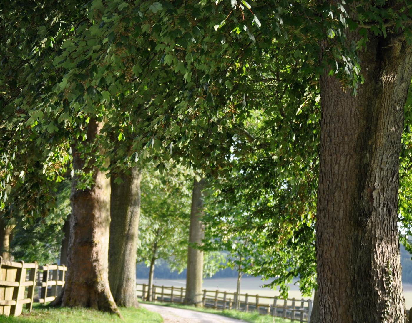 Chambres d'hôtes Oise, Chambres au château, Gites de charme Oise, Hotel Beauvais,