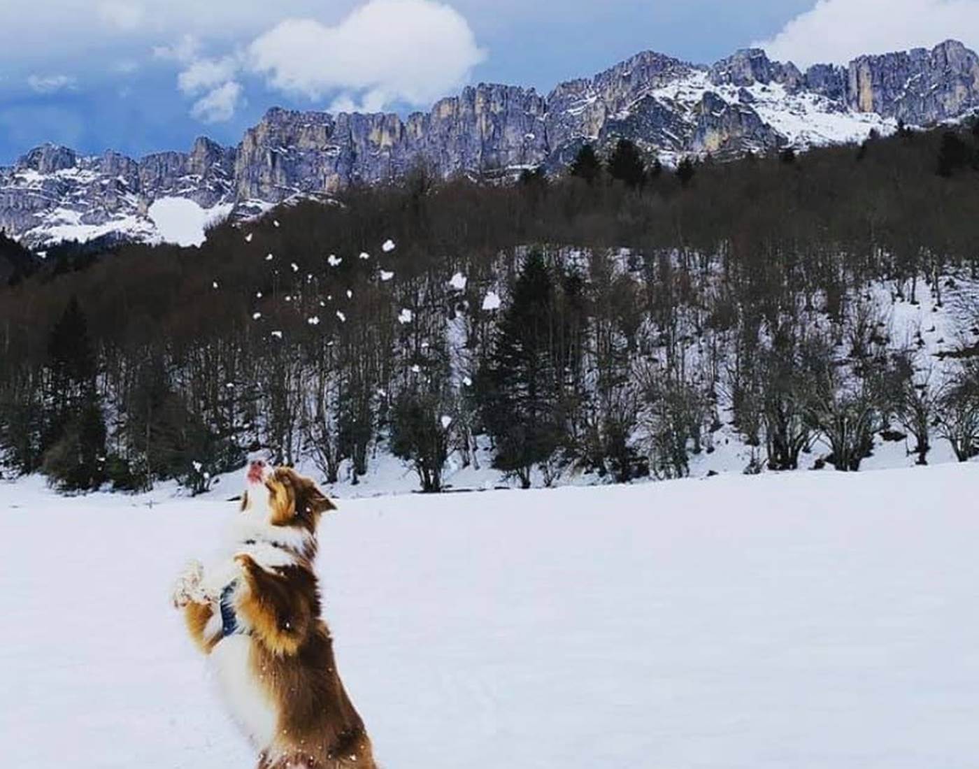 plateau-de-Sanchèse-Lescun-sous-la-neige