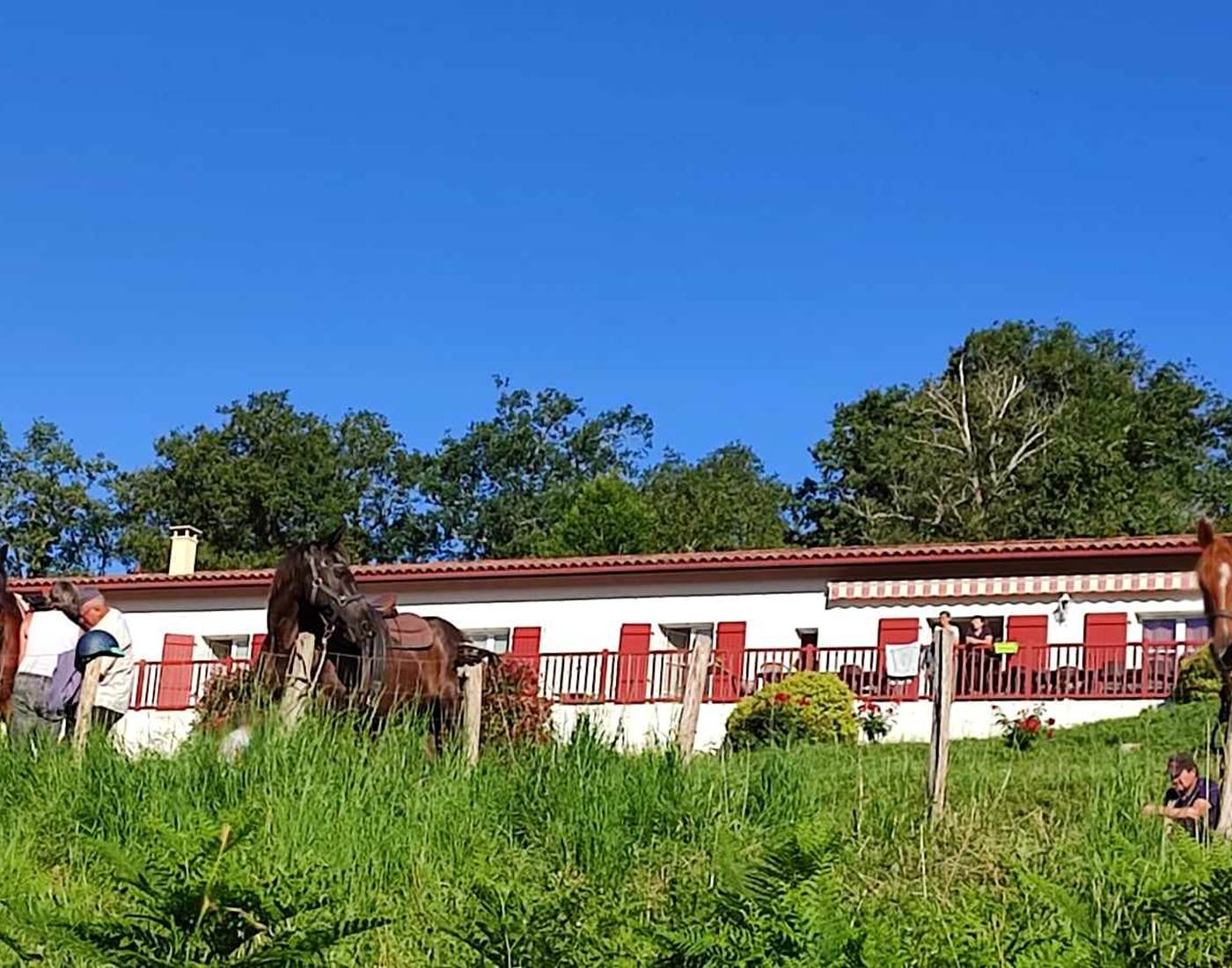 enclos cavaliers tourisme pays basque chevaux-news