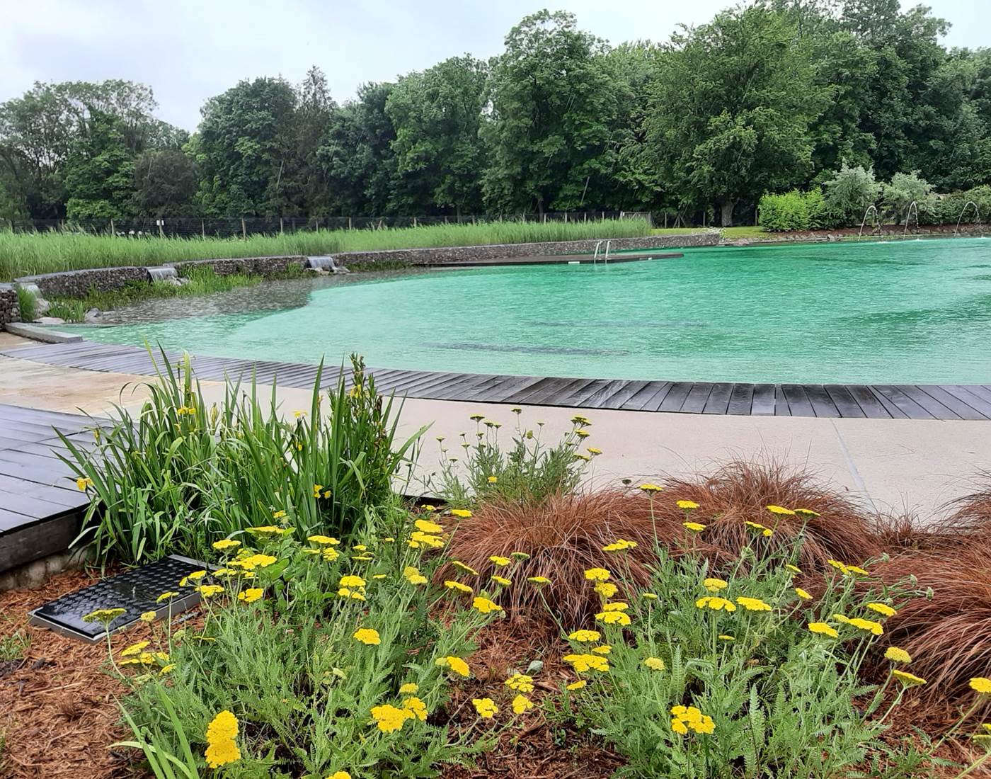 Baignade biologique de Connantre