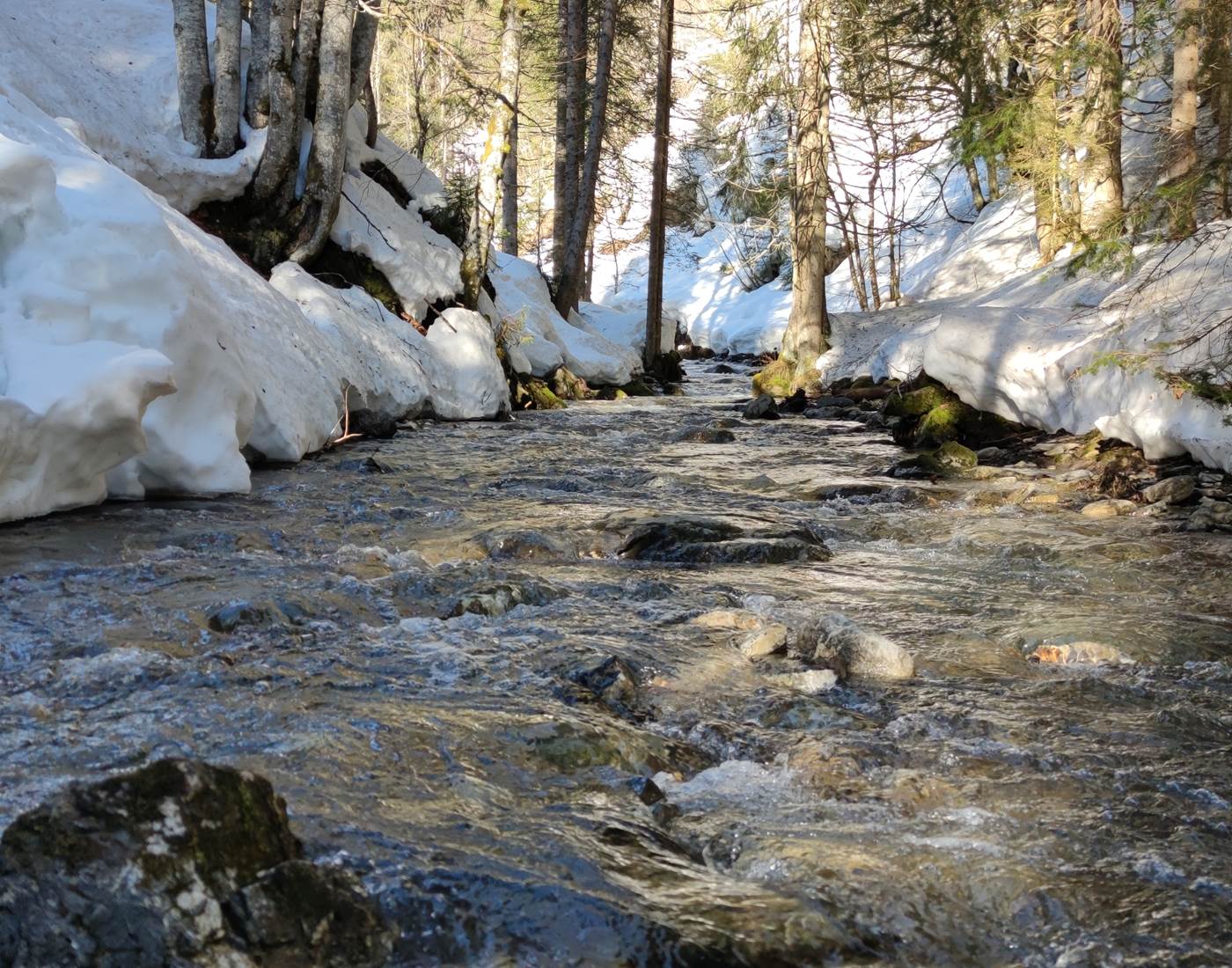 Le Foron à Beauregard