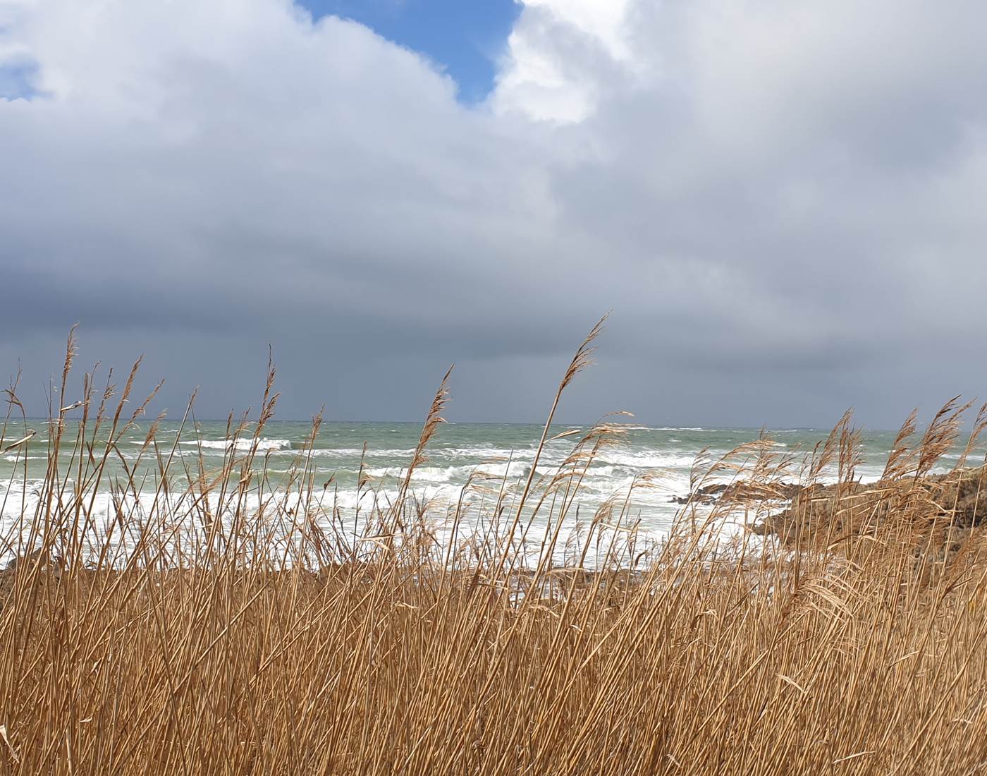 Sentier côtier GR34 Moëlan sur Mer-page
