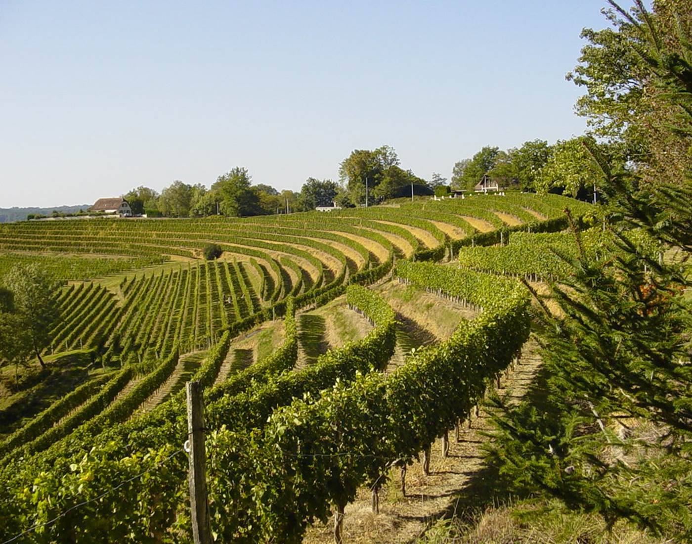 Les côteaux de Jurançon-page