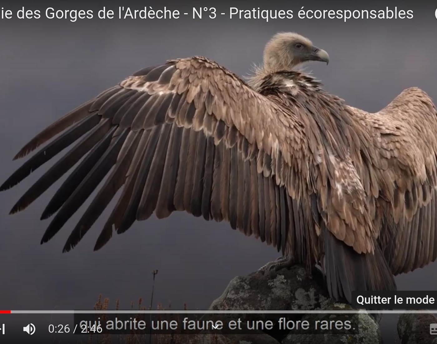 La Réserve des Gorges de l'Ardèche depuis l'Ecogîte 1000 Pailles