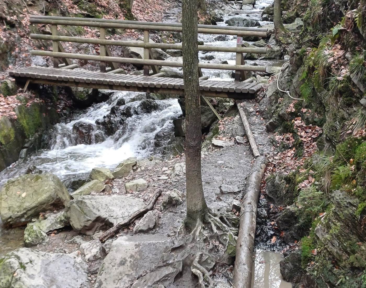 Aménagement pour traverser le ruisseau