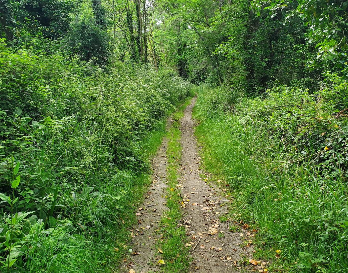 Single sur la boucle de la pointe du Raz