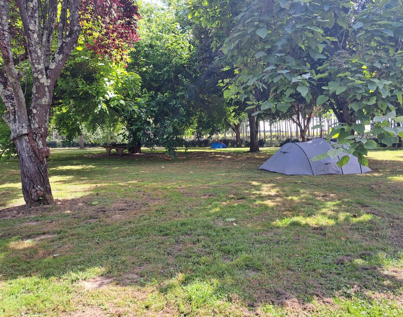 Camping emplacement tente