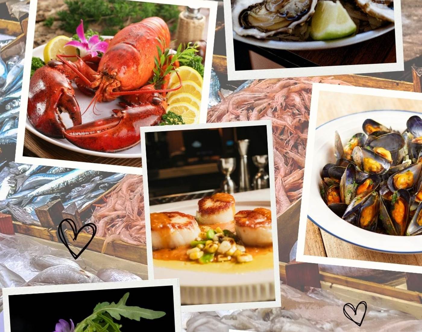 Fruits de mer extra frais au Colombier Bretagne chambres d'hôtes de charme