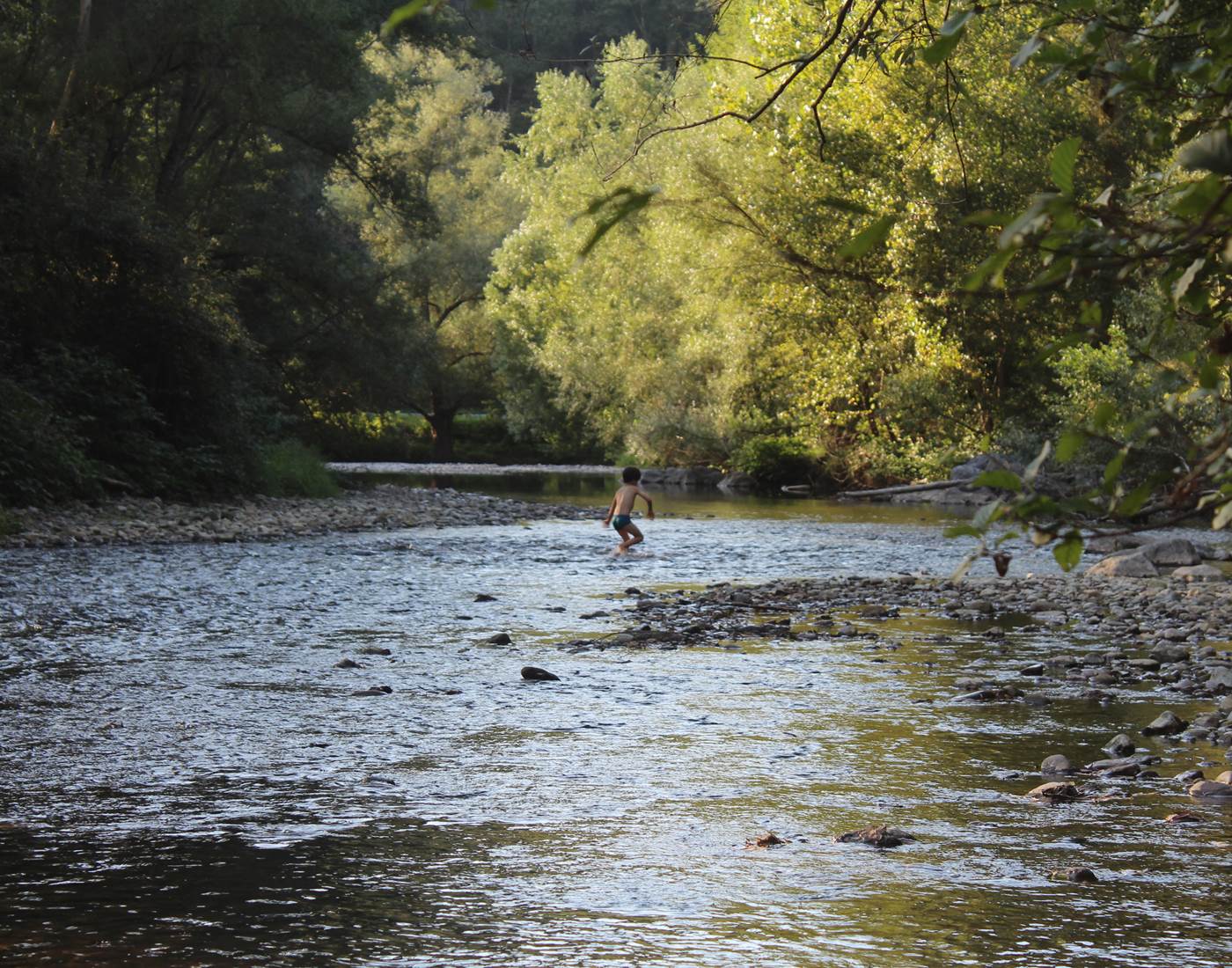pêche en rivière saumon truite gave d'aspe gave d'oloron gave de pau