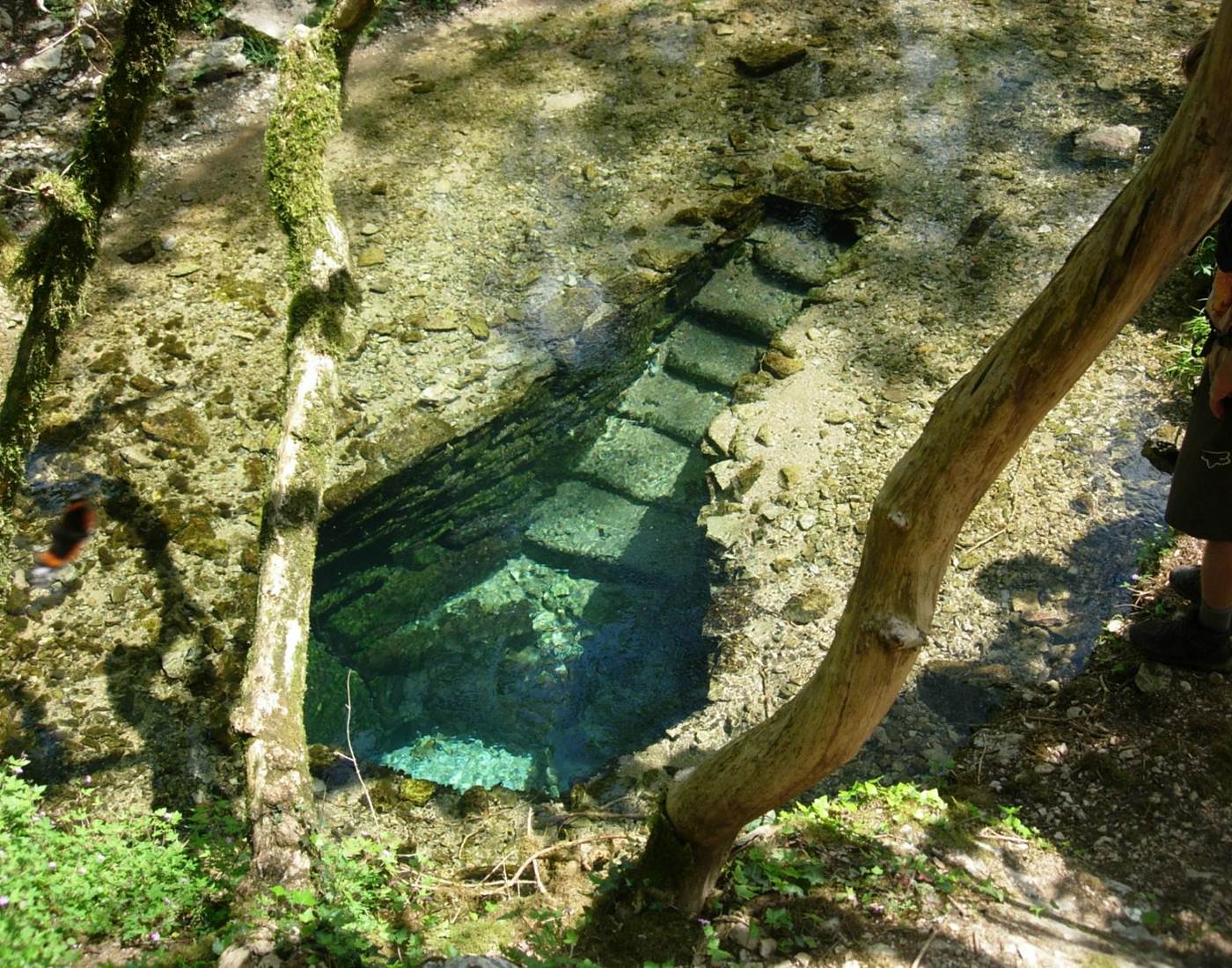 Source de font nègre