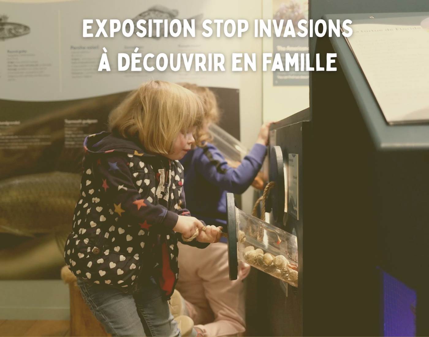exposition-wallonie-nature-famille
