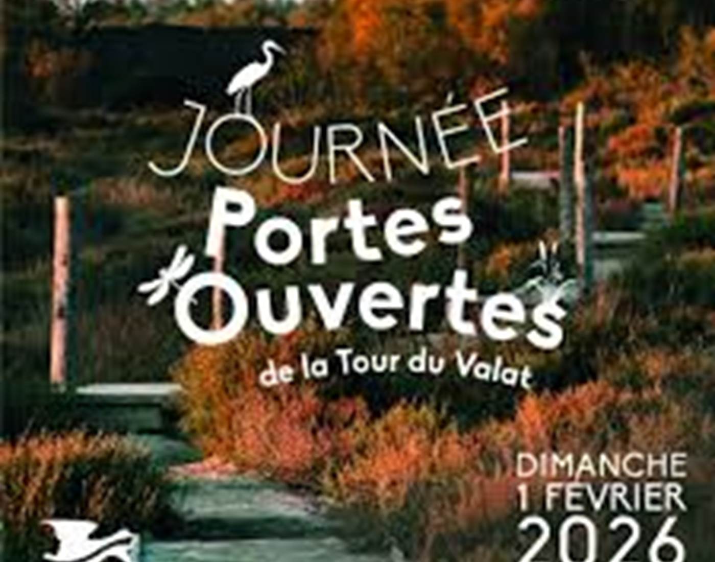 journée mondiale zones humides tour du valat 2026
