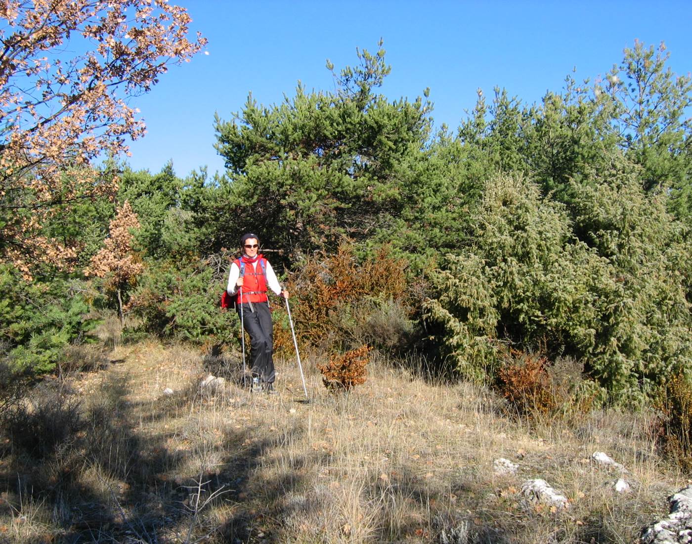 Auberge de 30 pas marche nordique