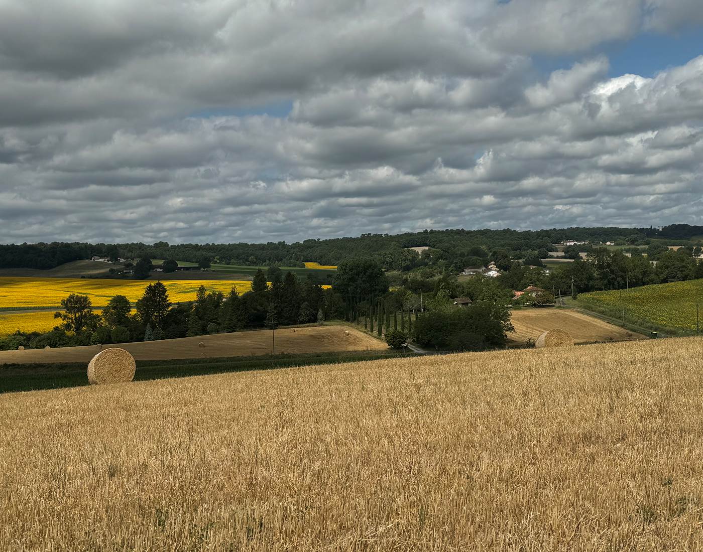 vue sur les champs depuis la terrasse