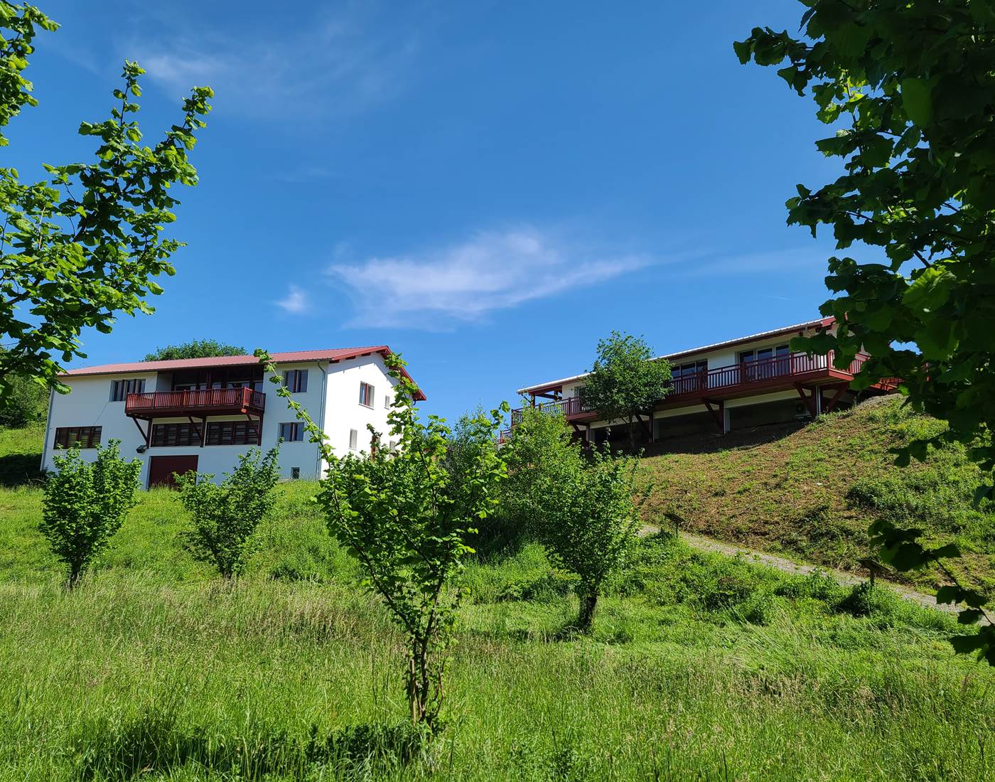 Vue depuis le verger de noisetiers