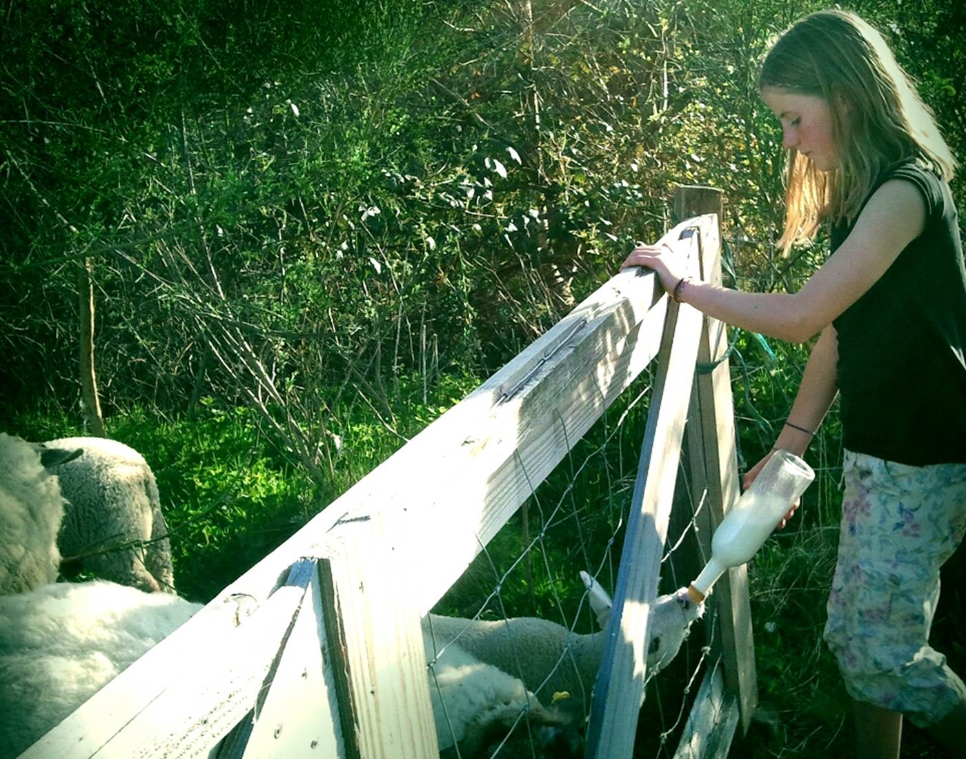 tour animalier, dieren rondje, animal tour