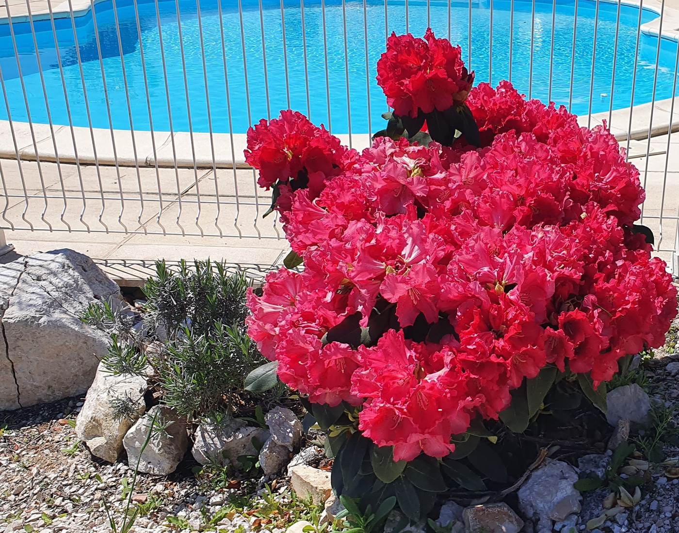 Un peu de couleur :-)